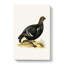 A Black Grouse by Von Wright - Wrapped Canvas Painting-55367980