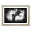 Bald Eagle High In The Sky - Single Picture Frame Print on MDF-56867122-56867125