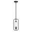 Mini-luminaire suspendu 1 lumière Holton-1868100046