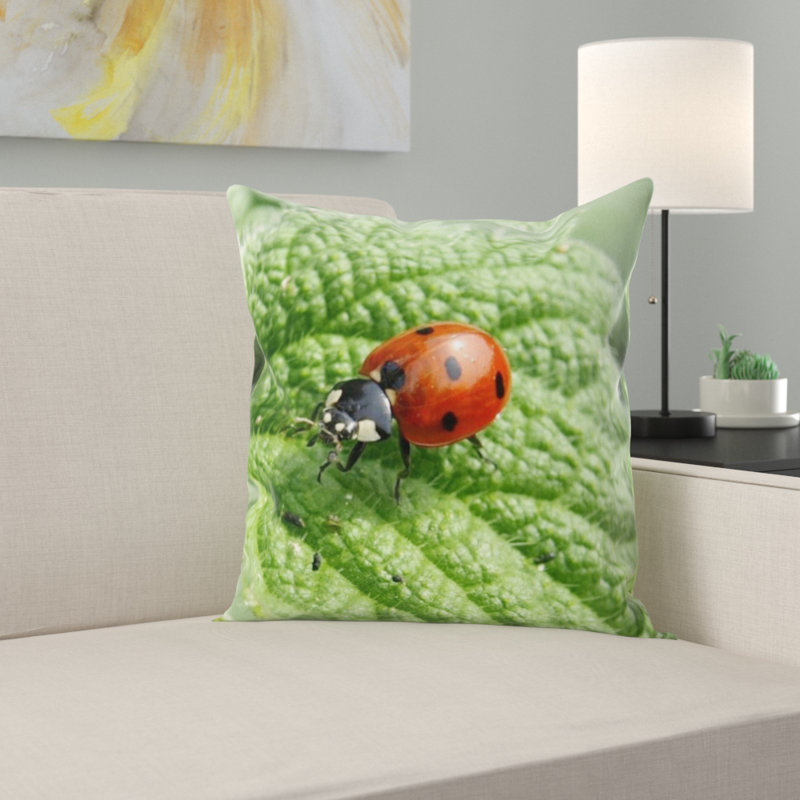Coussin coccinelle