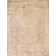 Erasmo Oriental Indoor Rug