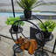 Peignes plantes d'eucalyptus artificiels en pot