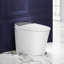 Toilette Smart Bidet-128504204