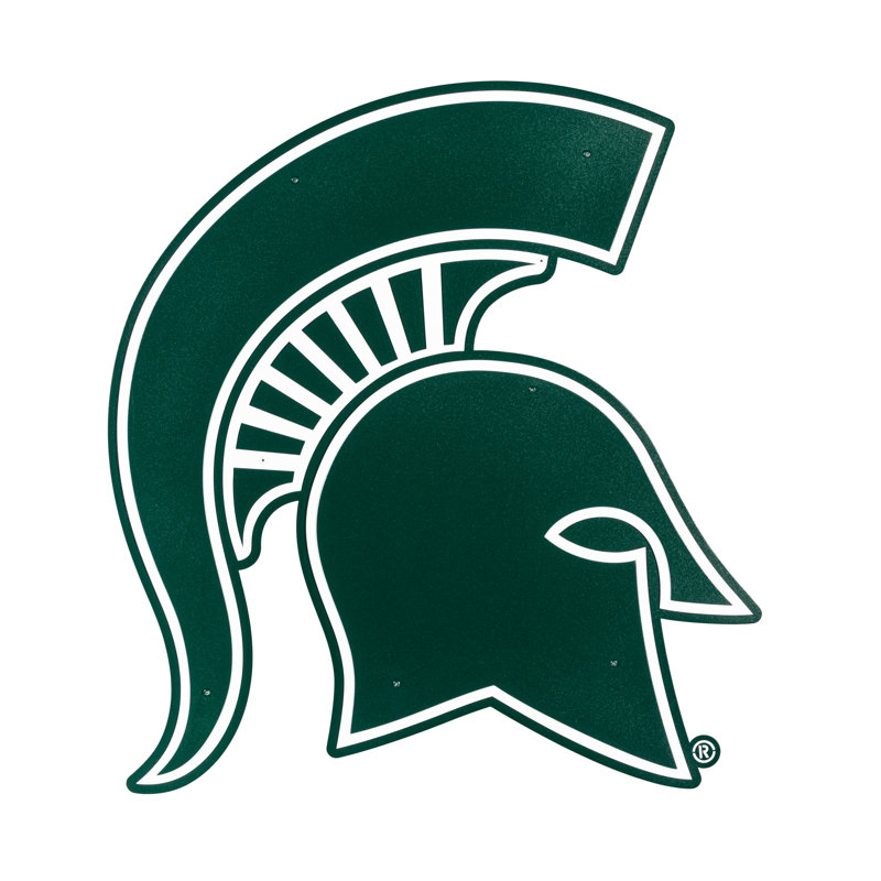 Michigan State University Layered Metal Wall Art