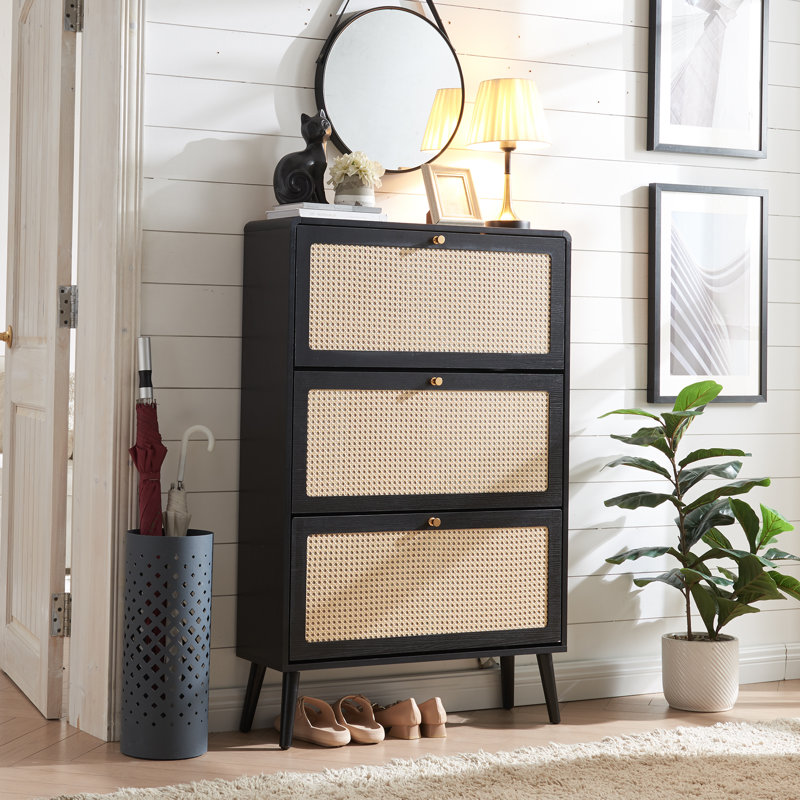 Armoire de rangement pour chaussures 24 paires, Noir