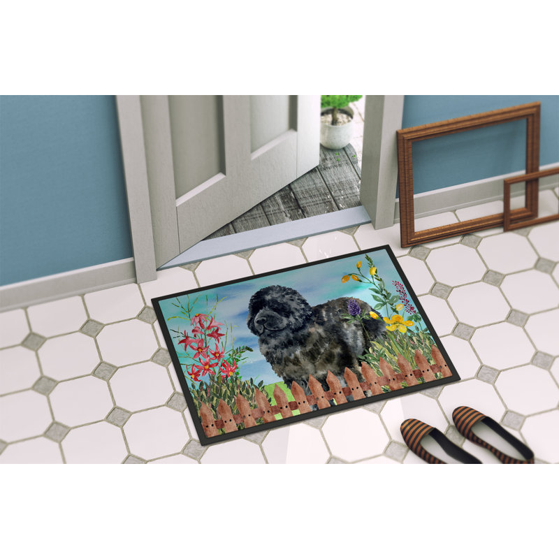 Tapis de porte pour l’extérieur antidérapant, Rectangulaire : 18 po x 27 po