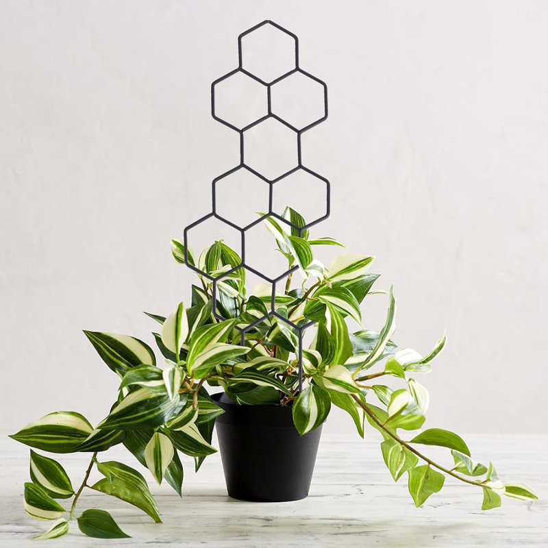 Forme de nid d'abeilles 15,94 pouces en métal pour plantes grimpantes