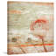Parvez Taj - Wrapped Canvas Print-12845227