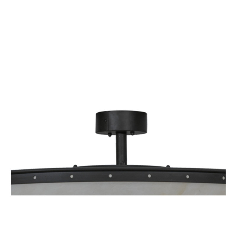 Dannae 30'' Ceiling Fan with LED Lights