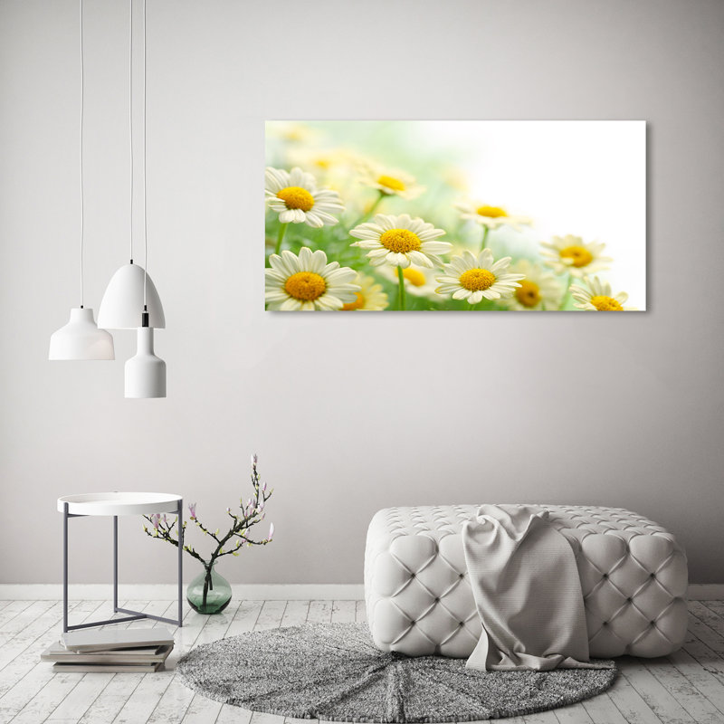 Daisies - No Frame Print on Canvas