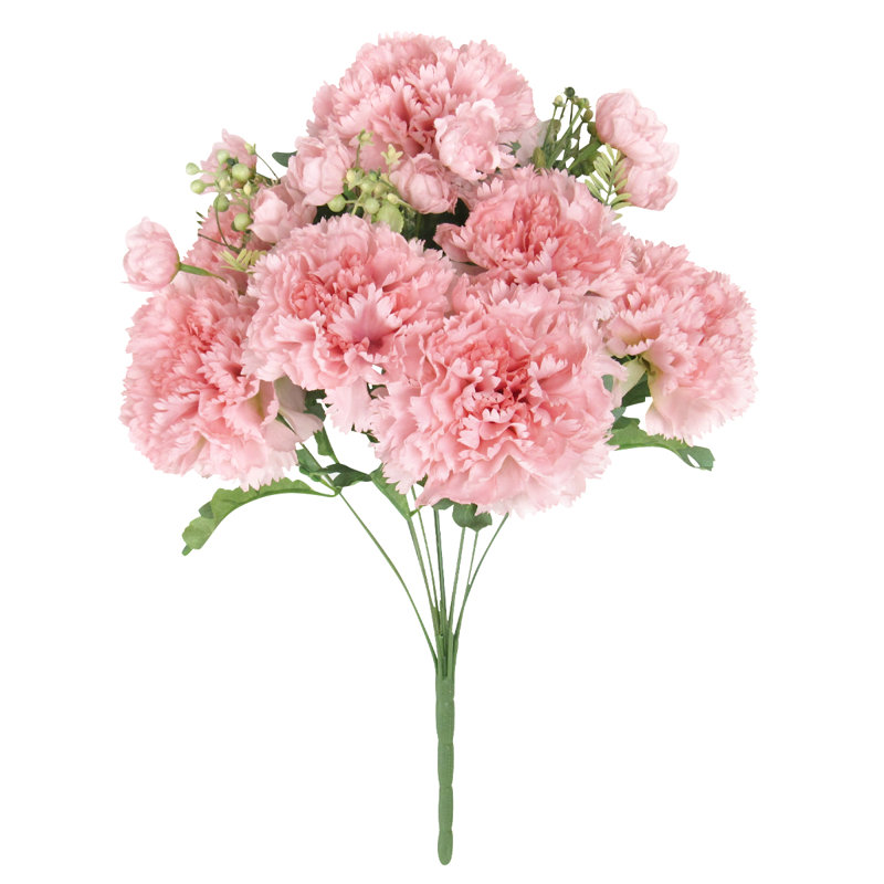 Oeillet, Rosé
