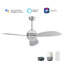 Ventilateur de plafond intelligent de 48 po avec télécommande Coren, ensemble d'éclairage inclus, fonctionne avec l'assistant Google et Amazon Alexa, raccourci Siri.-1475049615-1475049608