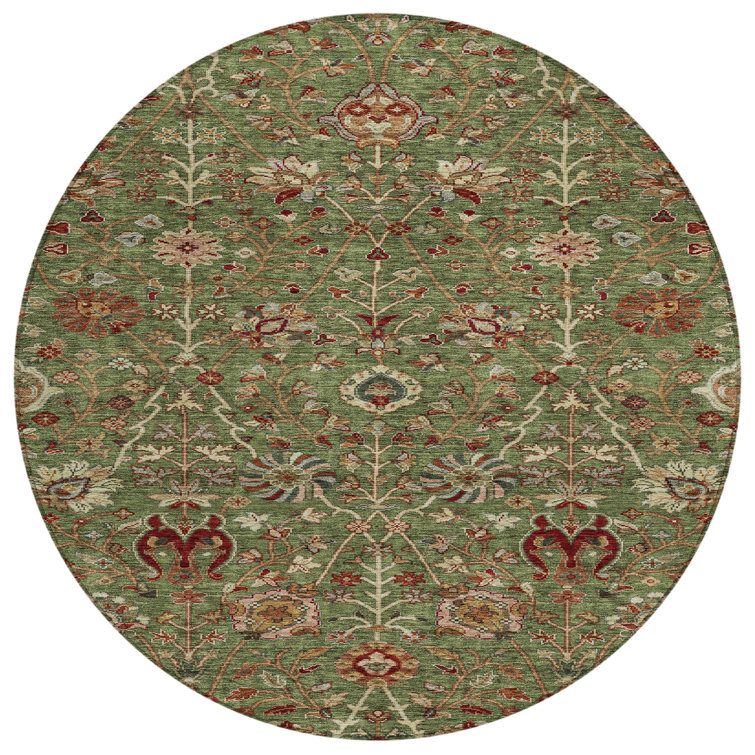 Chayil Area Rug with Non-Slip Backing