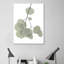 « descending eucalyptus 3 », reproduction d’impression sur toile tendue-23604648