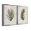 Palm Botanical I - ensemble de 2 impressions-1280204971-1211584036-1280204969