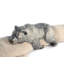 Woodland Creatures Pewter Sleeping Bear Napkin Ring