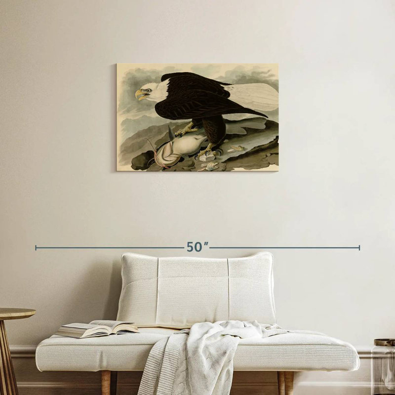 Brampt Whiteheaded Eagle, 20" H x 30" W