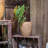 Petekar Pot Planter-443271997