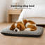 Orthopedic Polyester Pet Bed-1390587121