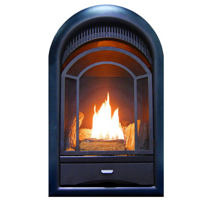 ProCom Dual Fuel Ventless Gas Fireplace Insert - Arched Door, 15,000 BTU, T-Stat Control - Model# PCS150T