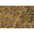 Roca Hand Knotted Wool Oriental Rug