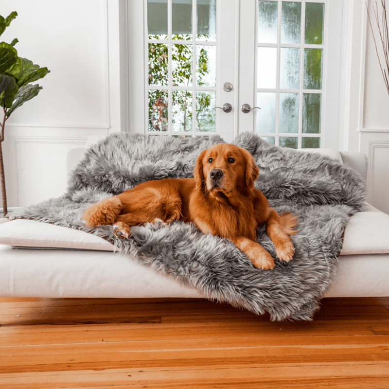 PupProtector Waterproof Throw Blanket, 60" x 50", Charcoal Gray