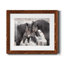 Chevaux sauvages - Photographie avec cadre photo-2049960916-2049960919