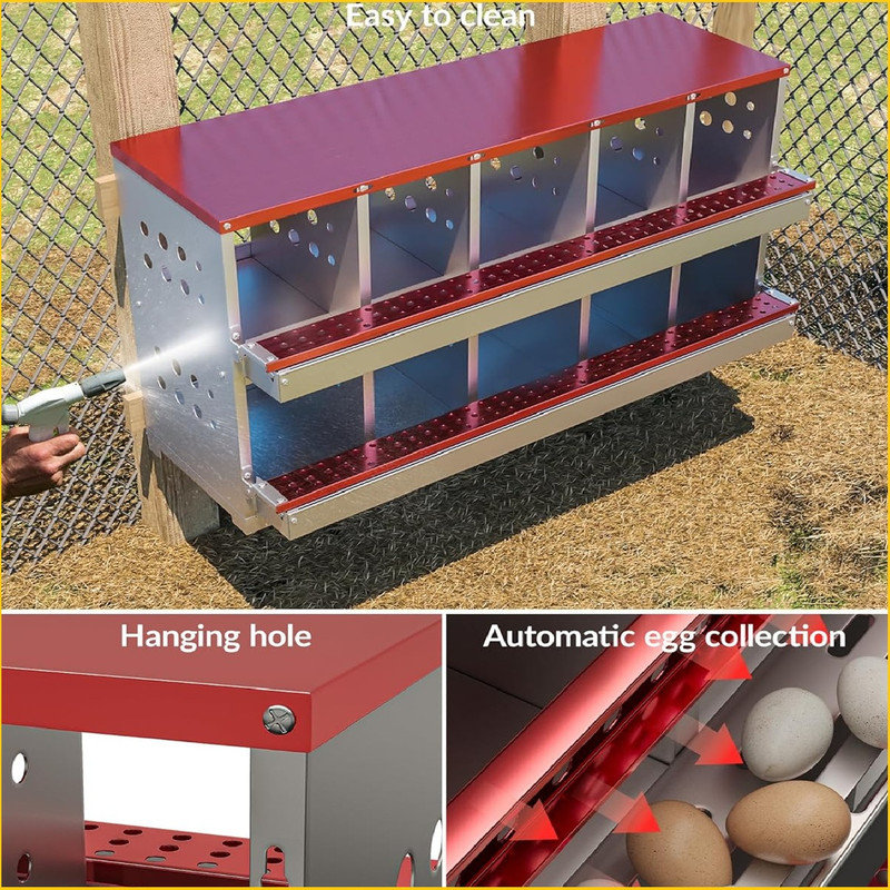 Boîte de nidification en métal pour poules pondeuses, boîtes de poules enroulables à fixation murale antirouille pour poules, étanches, ventilées avec perchoir, 10 compartiments