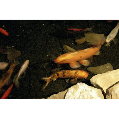 Goldfish Pond I