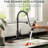 Black Kitchen Sink Faucet with Pull Down Sprayer