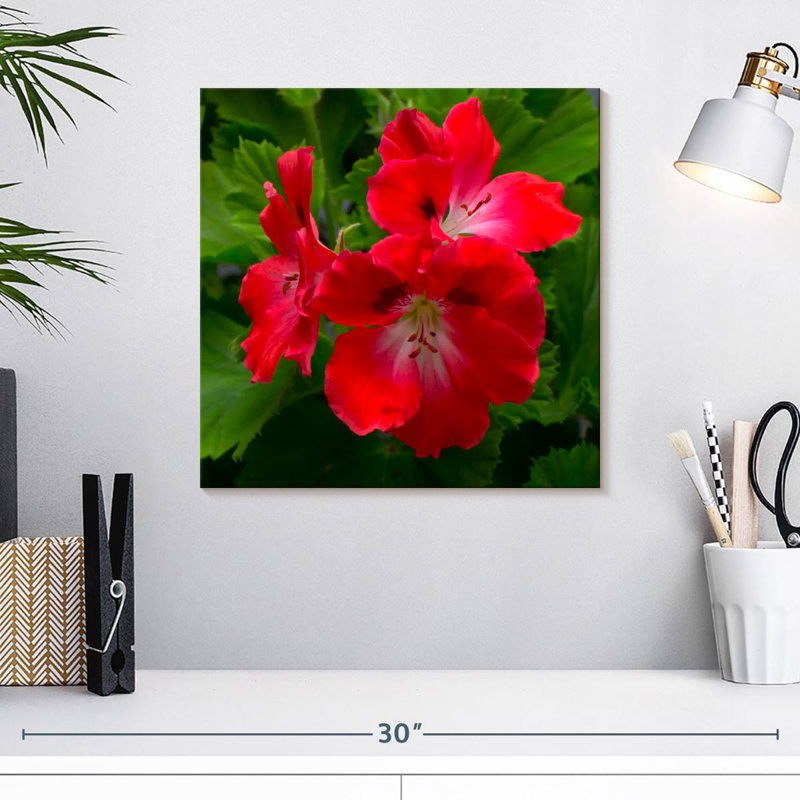 Harnek Red Hibiscus Flowers
