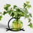 Berryville Bud Table Vase - Lime-24249966