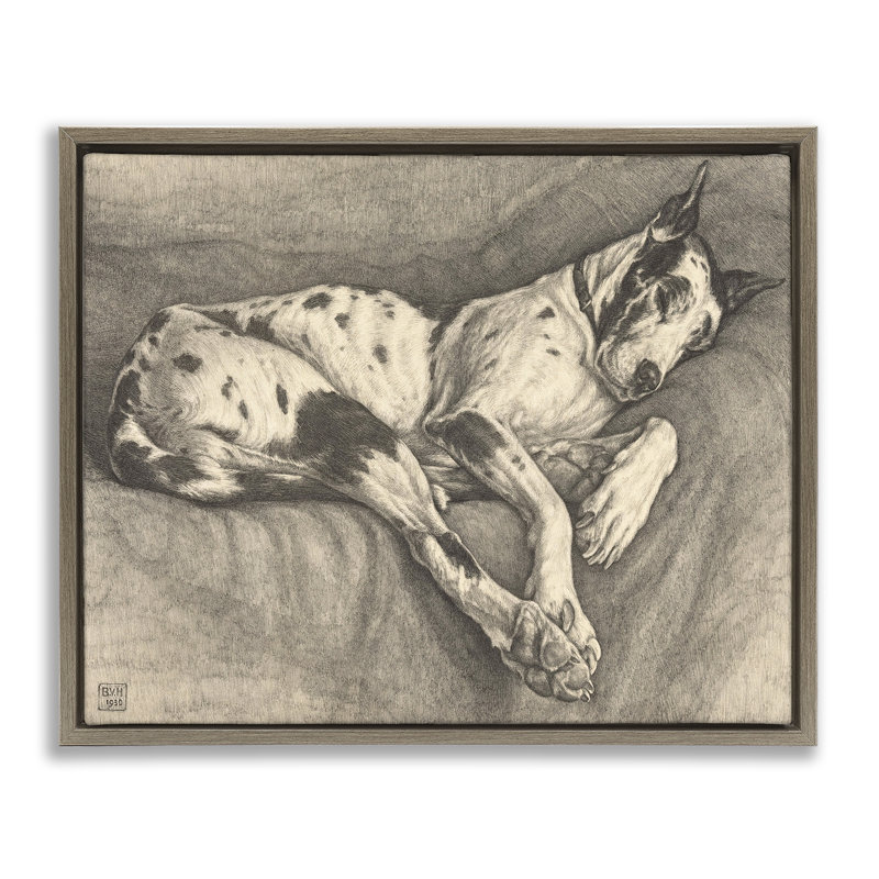 Cadre flottant avec un chien endormi, design par Bertha Van Hasselt, H 17 po x l 21 po, Montalcino orme flottant encadré