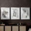 Objets mystiques I - Impression encadrée sur mesure de qualité supérieure - 3 pièces-1319016077-1319016073
