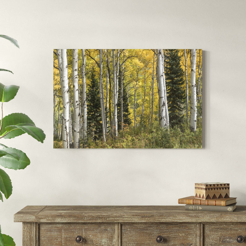 Aspen par Danny Head - peinture sur toile tendue, H 24 po x l 36 po x P 1,25 po