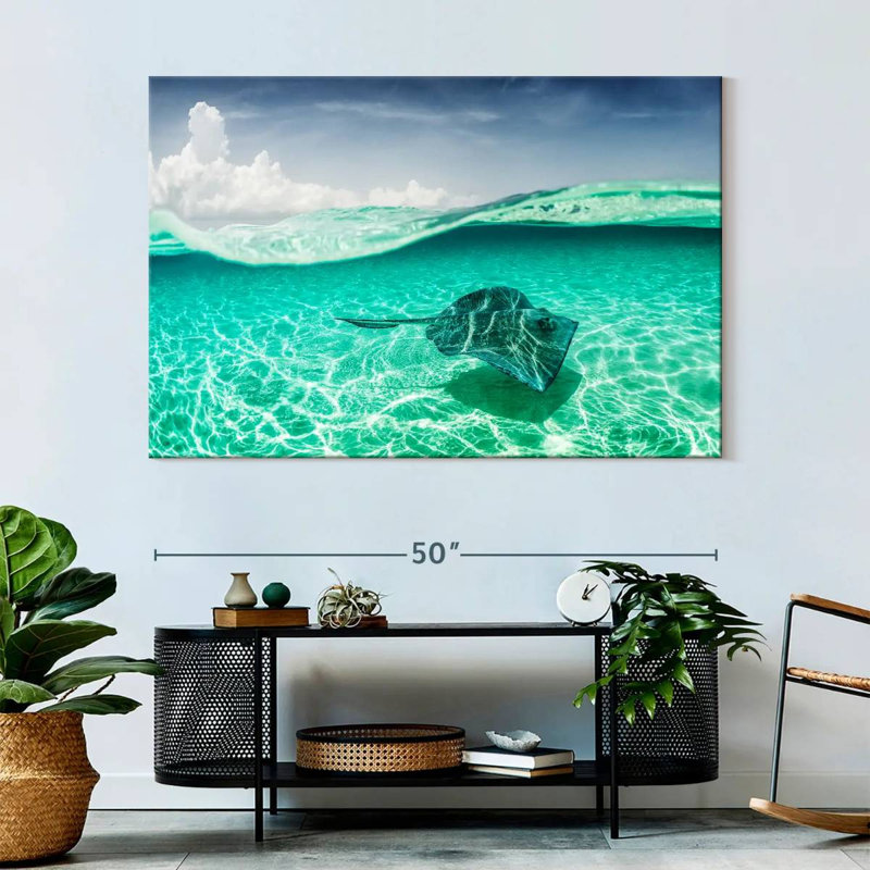 Brampt Manta Ray Underwater, 34" H x 51" W