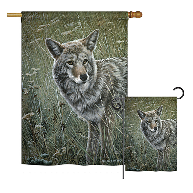 Coyote nature sauvage, polyester 40 x 28 po ensemble de drapeau