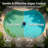 Solar Pool Ionizer – Floating Copper Ion Cleaner for Pools, Spas, and Hot Tubs