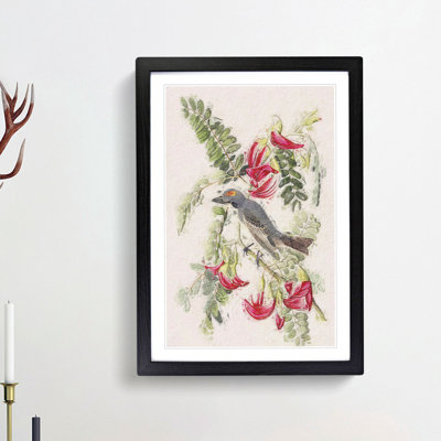 Piping Flycatcher Bird by John Audubon - Picture Frame Painting Print