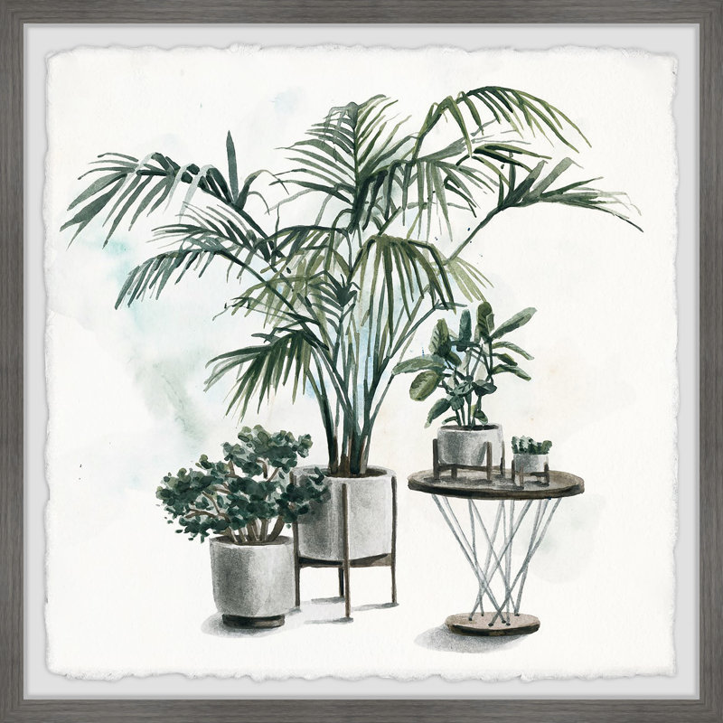 Indoor Tropical Garden II - Single Picture Frame Painting, 41cm H x 41cm W