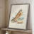 Hawk Owl Framed Print - Solid Wood