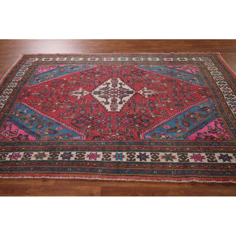 Traditional Area Rug 7x10