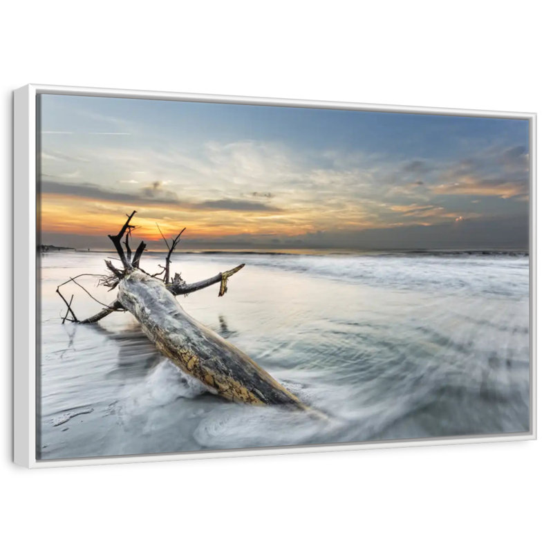 Bois de grève Hilton Vincente, Cadre flottant blanc, 43 po x 29 po