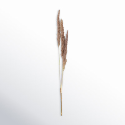Madie Natural Reed Arrangement