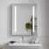 30 Inch H Recessed or Surface LED Mirror Cabinet With Defogger And Adjustable Shelves