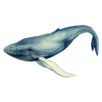 The Whales Song I by Grace Popp - Wrapped Canvas Art Prints