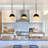 Single Head Hemispherical Iron Chandelier