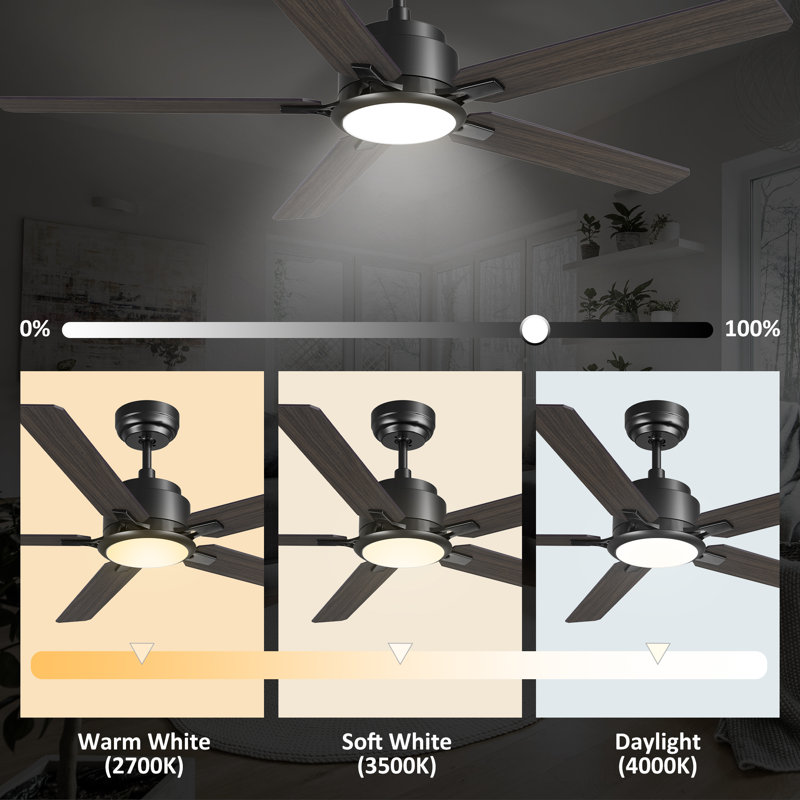 Ventilateur de plafond intelligent 52 pouces à fixation sur tige verticale 52 po avec télécommande et ensemble d'éclairage inclus