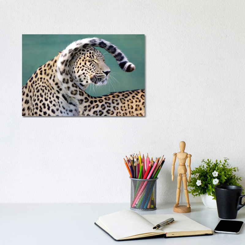 Leopards by Goran Anastasovski - Wrapped Canvas Print, 20.32 cm H x 30.48 cm W