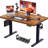 Adjustable Standing Desk-725528689-725528702